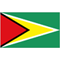 圭亚那女篮队徽
